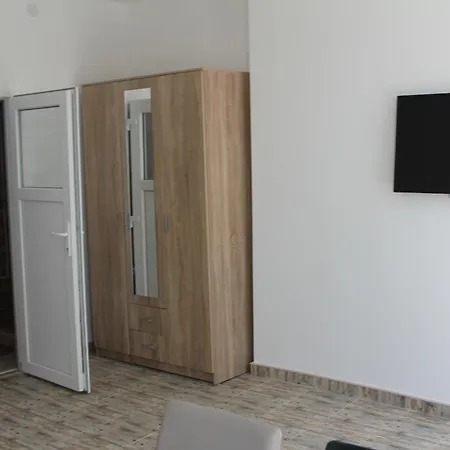 Apartment Borovi